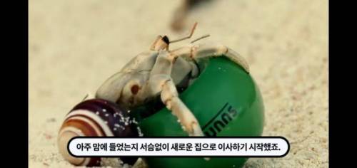 역대급 신박한 부동산회사 마케팅