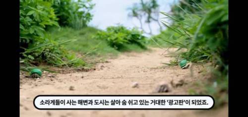 역대급 신박한 부동산회사 마케팅