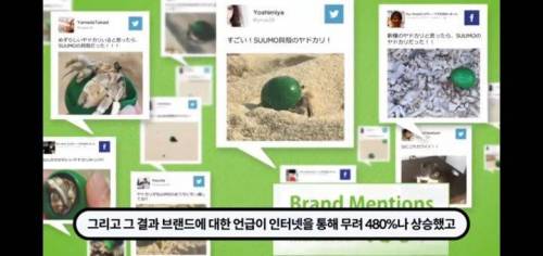 역대급 신박한 부동산회사 마케팅