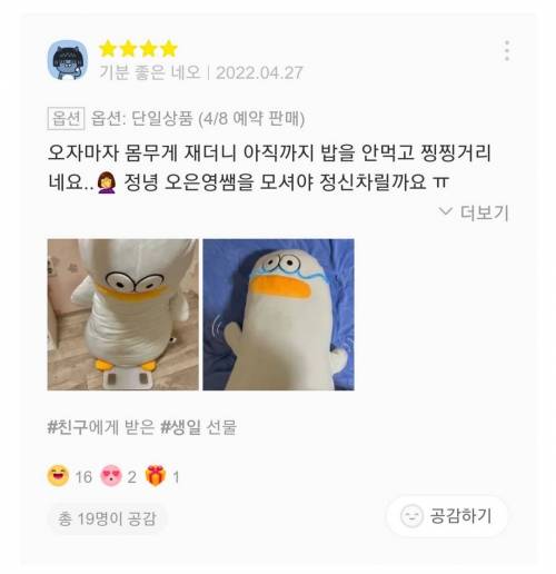 재치있는 바디필로우 리뷰들