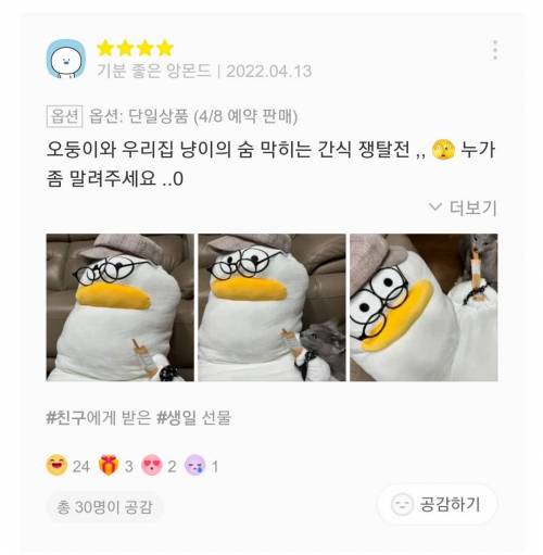 재치있는 바디필로우 리뷰들