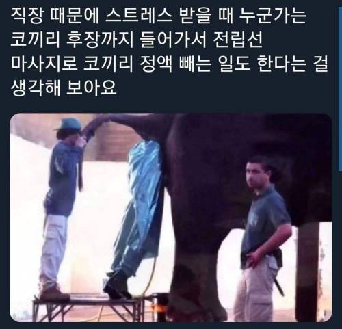 출근하기 싫을때 보는 짤