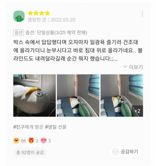 재치있는 바디필로우 리뷰들