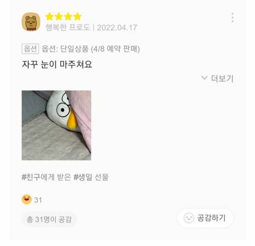 재치있는 바디필로우 리뷰들