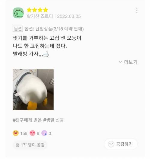 재치있는 바디필로우 리뷰들