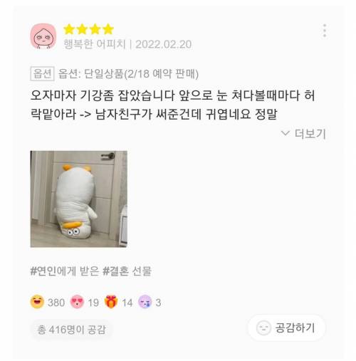 재치있는 바디필로우 리뷰들