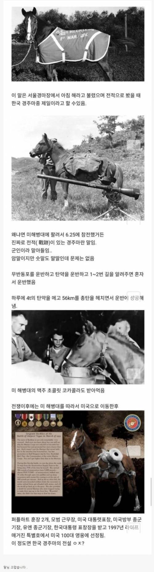 한국 전설의 경주마 클라스