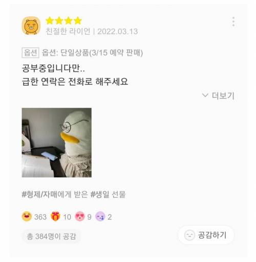 재치있는 바디필로우 리뷰들