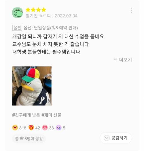 재치있는 바디필로우 리뷰들