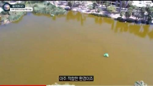 상상한 오아시스와 실제 오아시스 모습.jpg