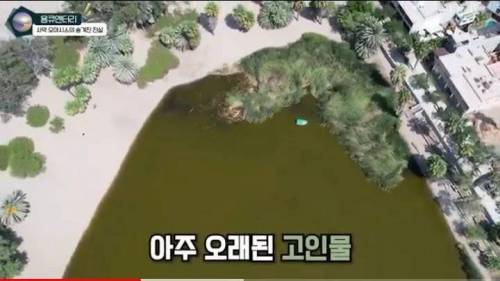상상한 오아시스와 실제 오아시스 모습.jpg
