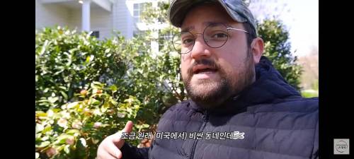 미국인이 말하는 한국 아파트와 미국집 차이