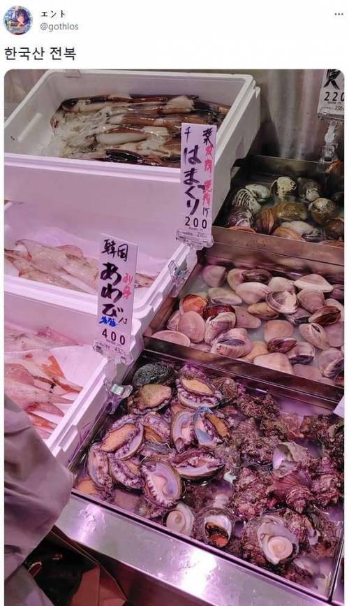 일본 마트에서의 한국 제품 & 식품