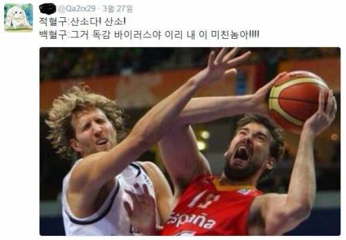 일하는 세포 실사판.jpg