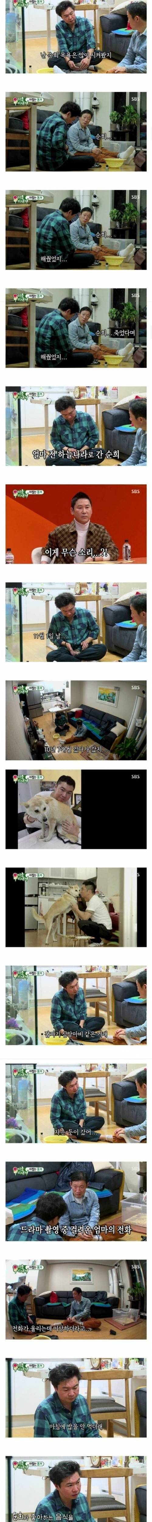 죽은 애완견 이야기하다가 갑자기 방송중에 절규하는 임원희....