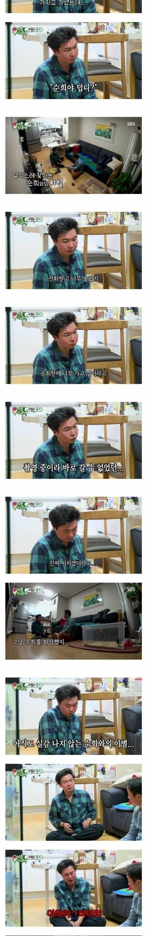 죽은 애완견 이야기하다가 갑자기 방송중에 절규하는 임원희....