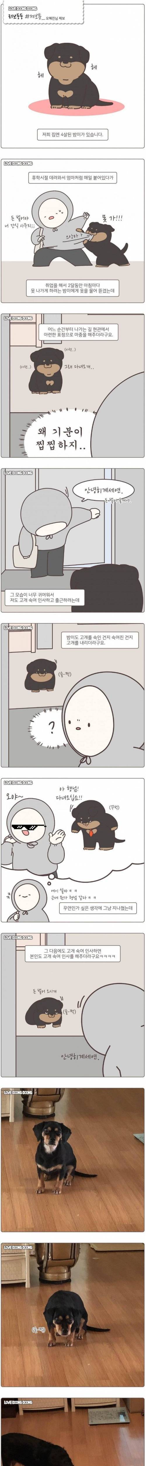 출근할때 배웅해주는 댕댕이manhwa