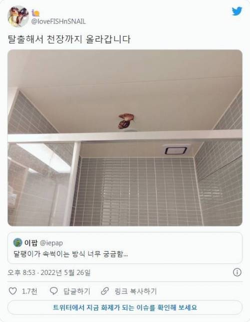 달팽이가 주인 속을 썩인다고?