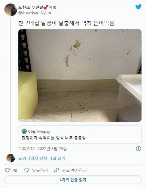 달팽이가 주인 속을 썩인다고?