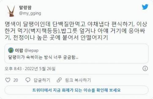 달팽이가 주인 속을 썩인다고?