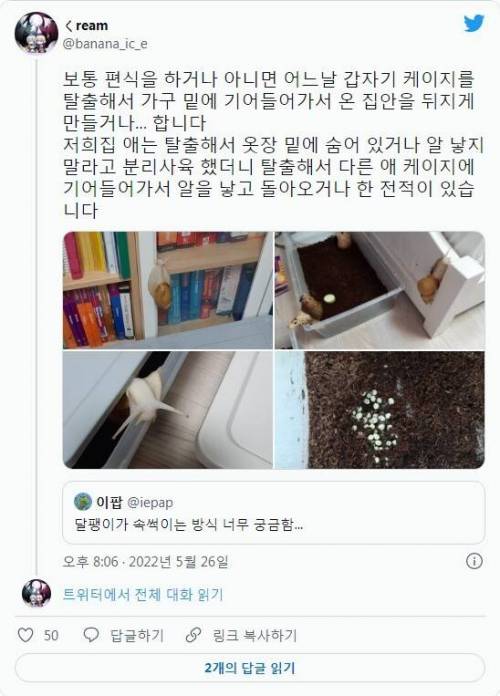 달팽이가 주인 속을 썩인다고?