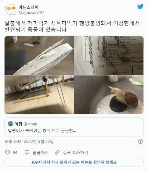 달팽이가 주인 속을 썩인다고?