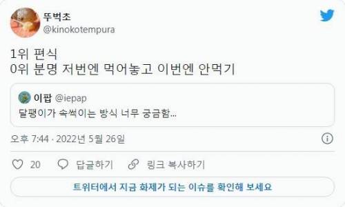 달팽이가 주인 속을 썩인다고?