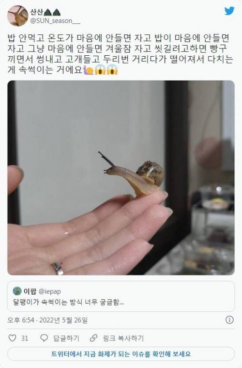 달팽이가 주인 속을 썩인다고?