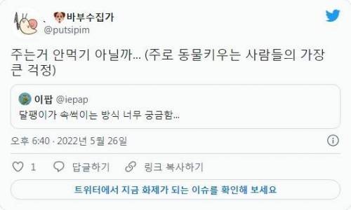 달팽이가 주인 속을 썩인다고?