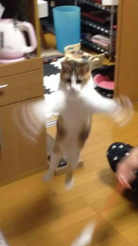 공중부양