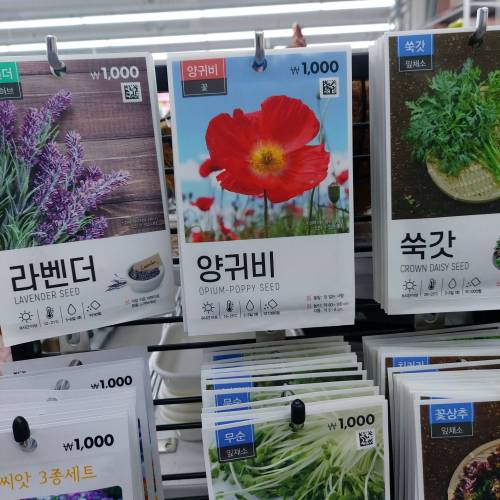 없는 게 없는 다이소.jpg