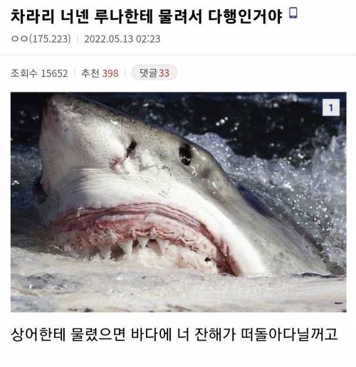 비트코인 갤러리에 나타난 현자