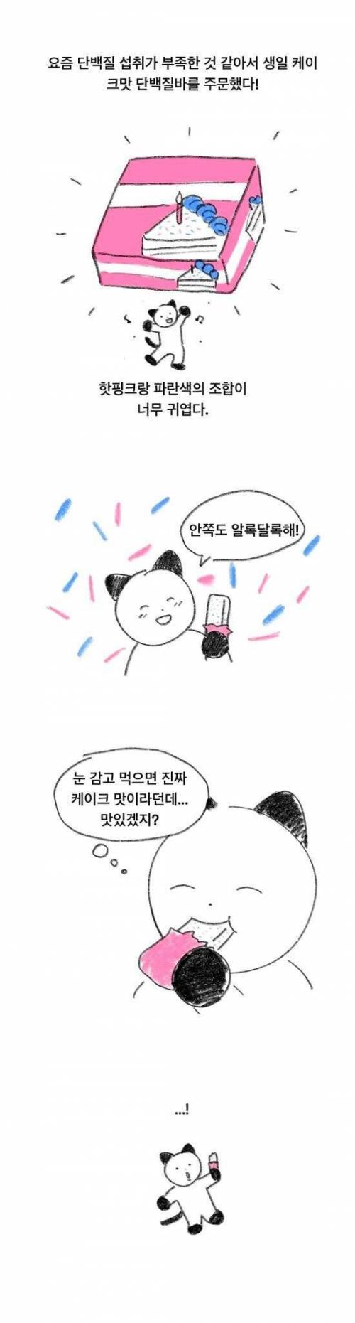 생일케이크맛 단백질바 후기.twt