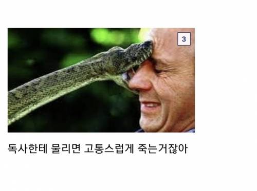 비트코인 갤러리에 나타난 현자