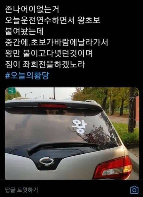 운전 왕초보 대참사