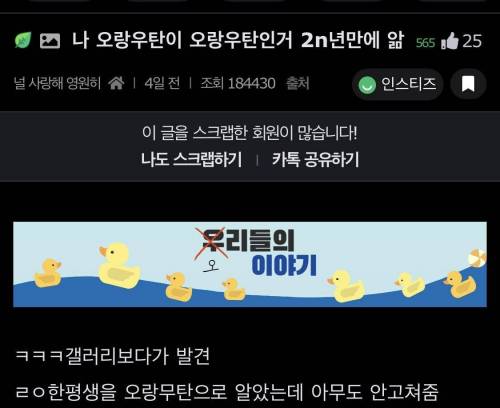 나 오랑우탄이 오랑우탄인 거 2n년 만에 앎.jpg