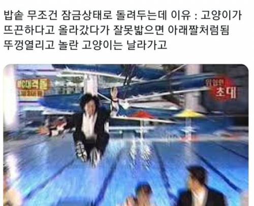 고양이 키우면 밥솥 무조건 잠금상태로 돌려줘야 함