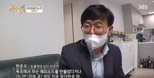 집에 올 때 마다 욕조에 있었던 강아지의 속사정.jpg