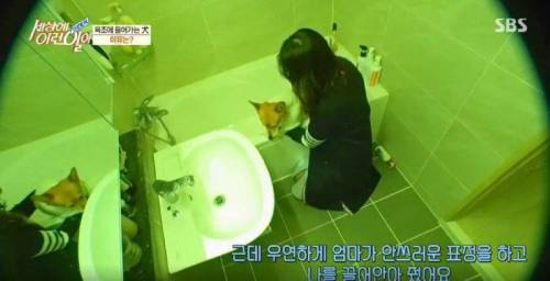 집에 올 때 마다 욕조에 있었던 강아지의 속사정.jpg