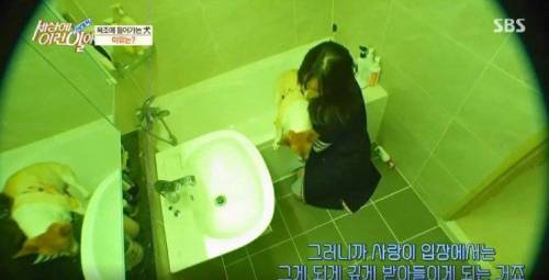 집에 올 때 마다 욕조에 있었던 강아지의 속사정.jpg