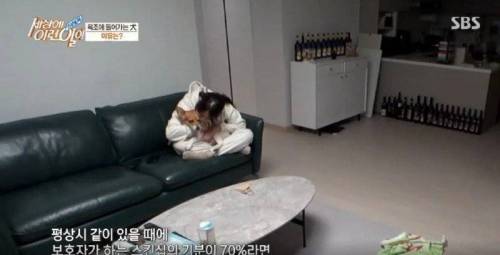 집에 올 때 마다 욕조에 있었던 강아지의 속사정.jpg