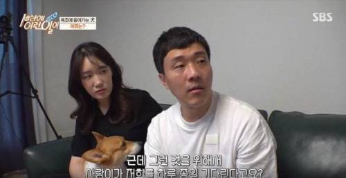집에 올 때 마다 욕조에 있었던 강아지의 속사정.jpg