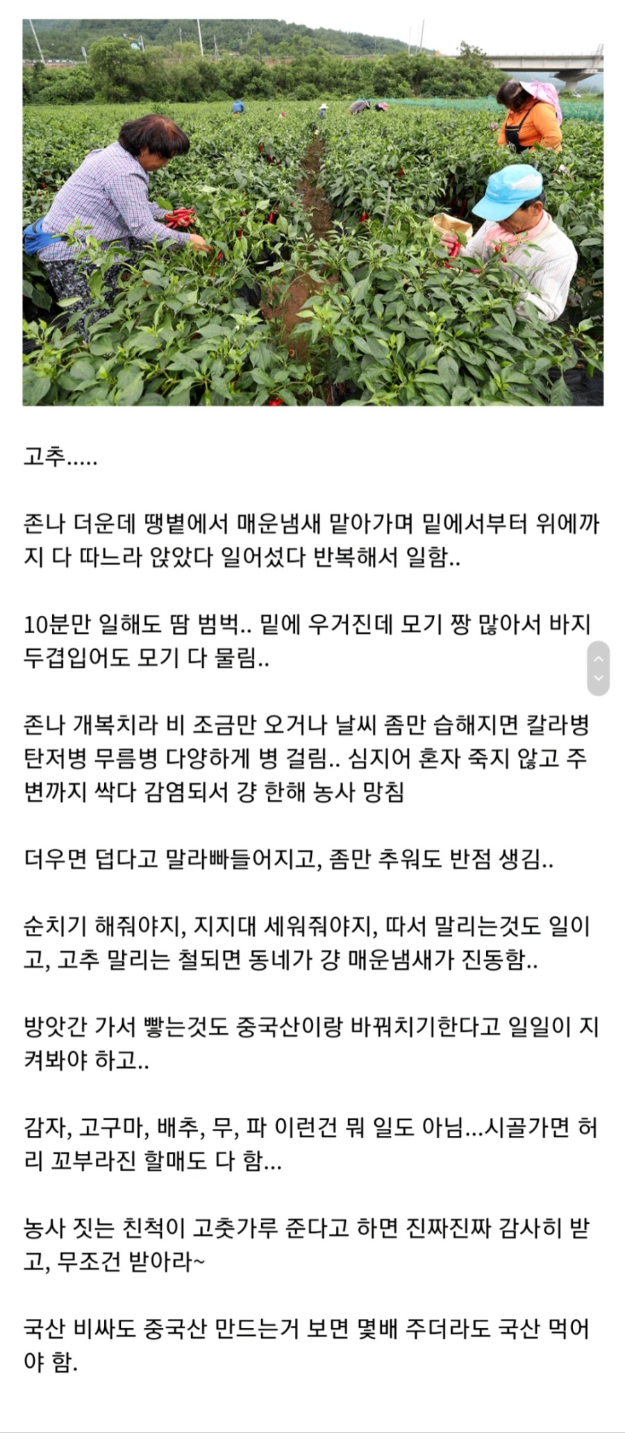 의외로 농사짓기 힘든 작물.jpg