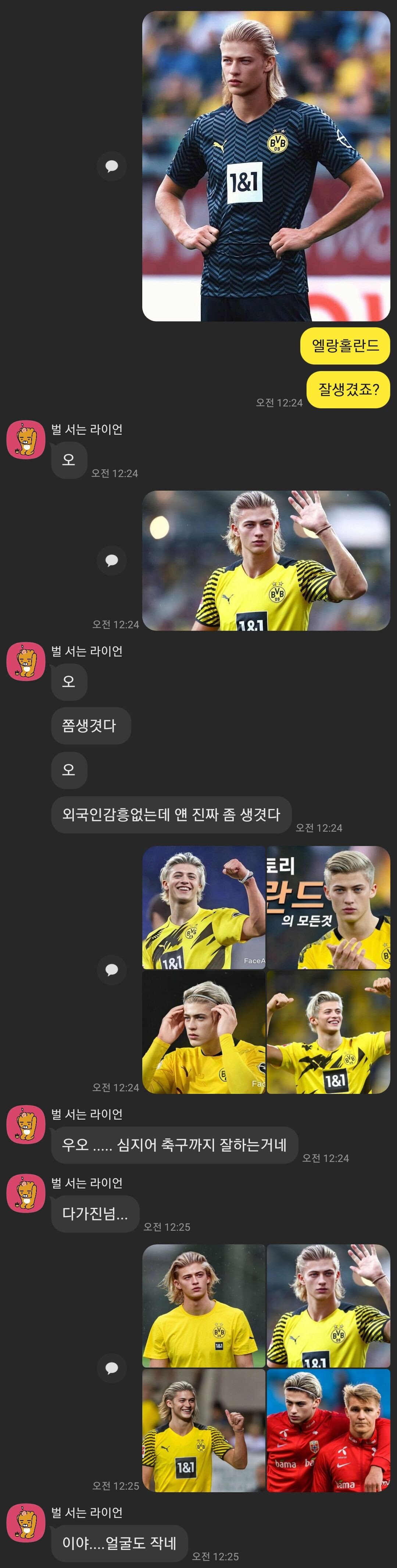 홀란드를 본 여자친구