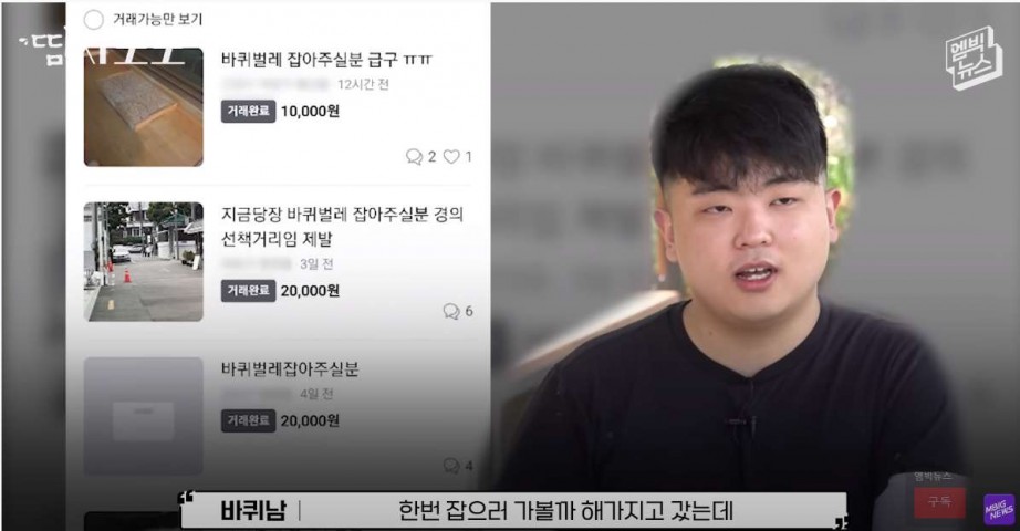 당근마켓 바퀴벌레 잡아주는 남자 인터뷰.jpg