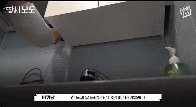 당근마켓 바퀴벌레 잡아주는 남자 인터뷰.jpg