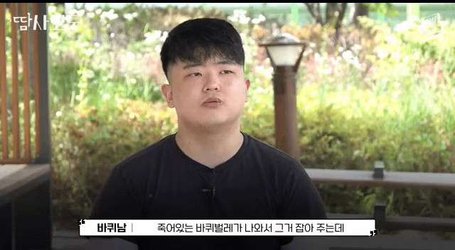 당근마켓 바퀴벌레 잡아주는 남자 인터뷰.jpg