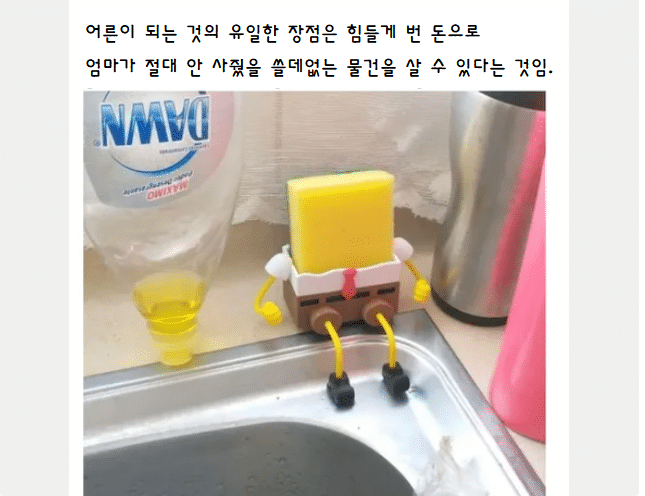 어른이 되는 것의 유일한 장점.jpg
