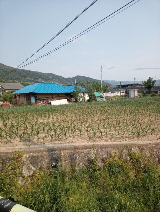 주식 전부 정리하고 부모님 아파트 사드렸네요.jpg