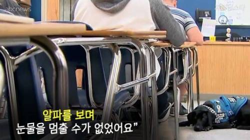 미국 한 고등학교 졸업앨범에 실린 댕댕이